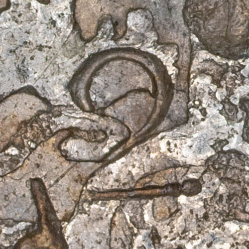 2 - number chopmark
